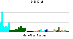 AMP deaminase 2